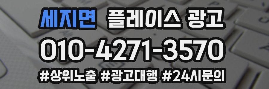 세지면 플레이스 광고