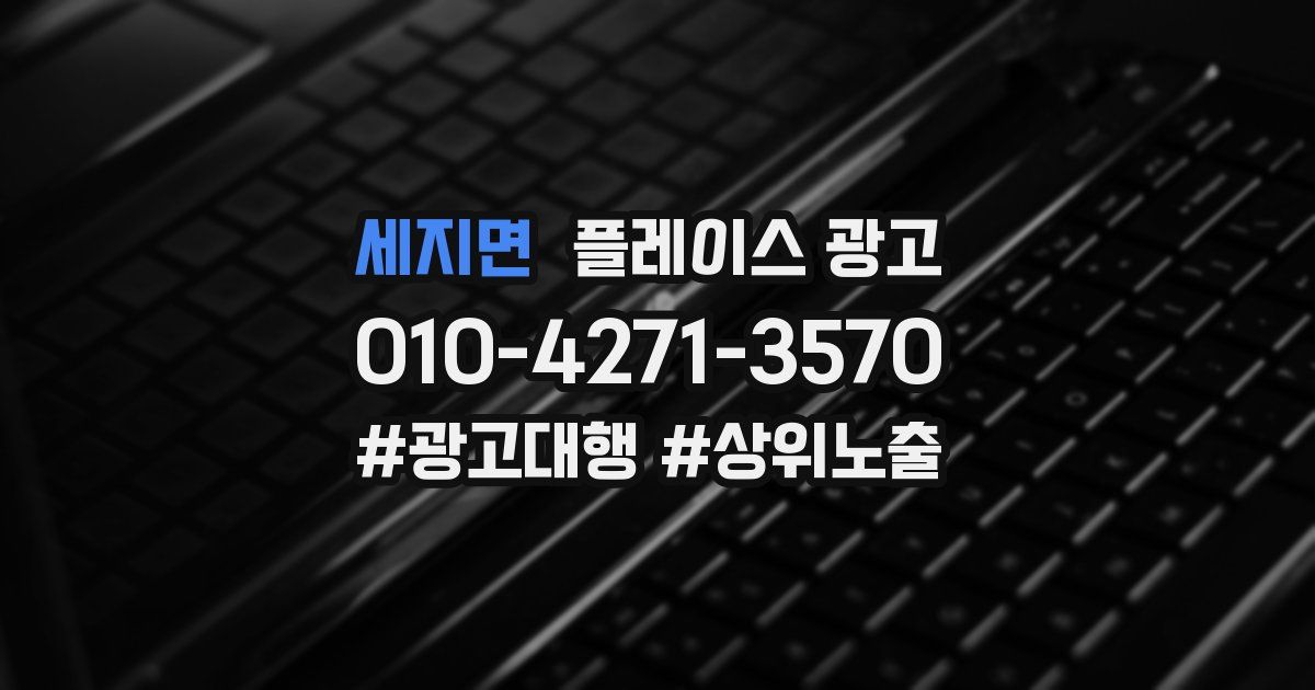 세지면 플레이스 광고