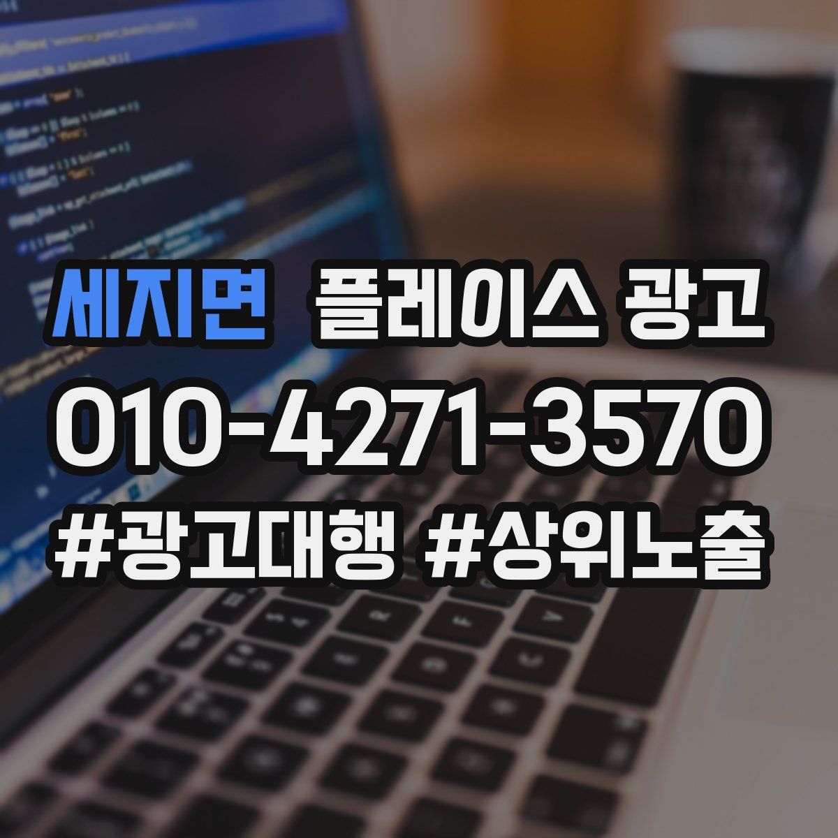 세지면 플레이스 광고