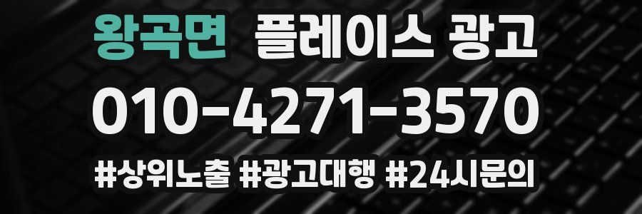 왕곡면 플레이스 광고