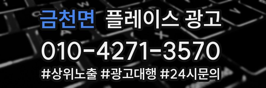 금천면 플레이스 광고