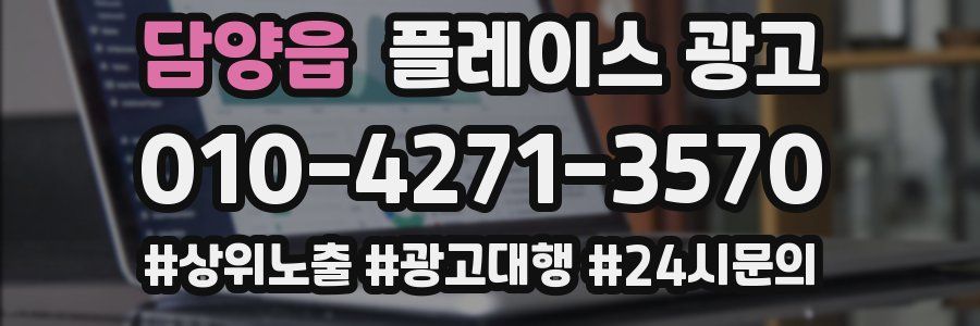 담양읍 플레이스 광고