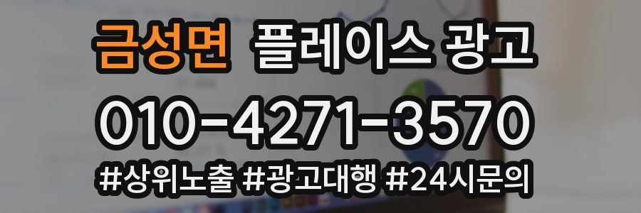 금성면 플레이스 광고