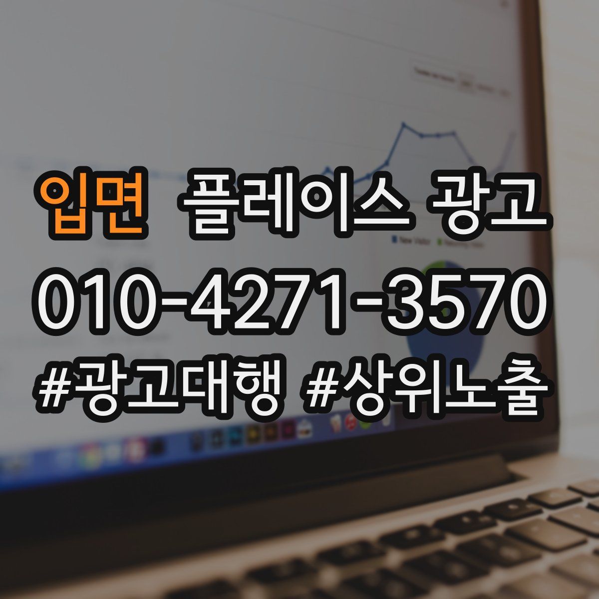 입면 플레이스 광고