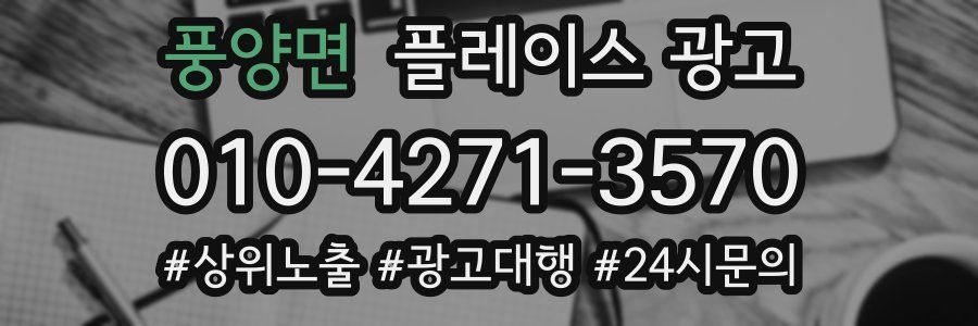 풍양면 플레이스 광고