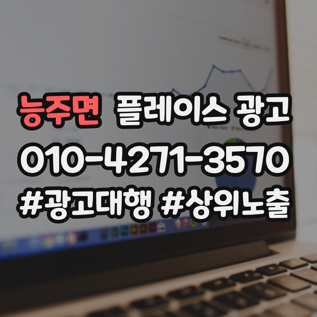 능주면 플레이스 광고