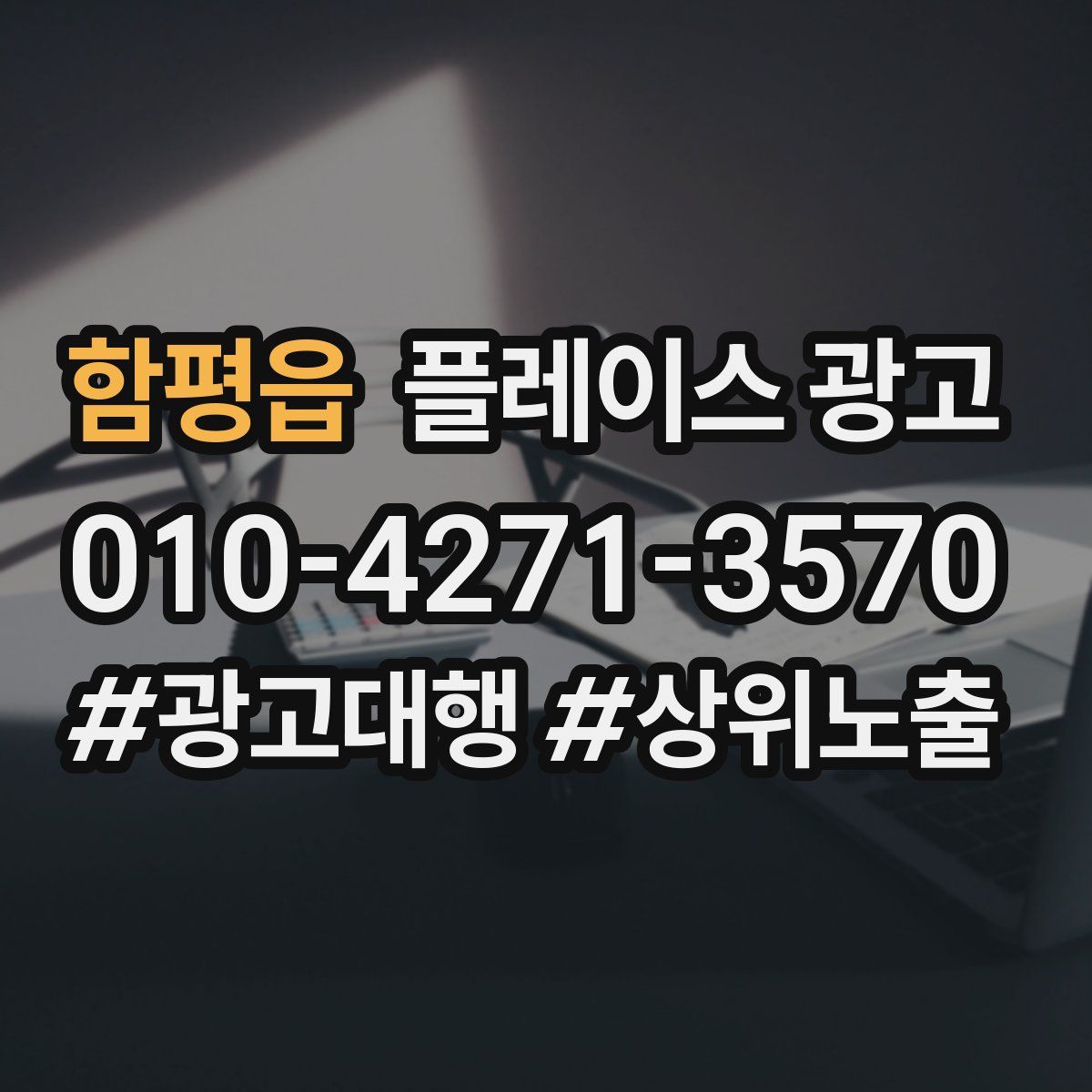 함평읍 플레이스 광고