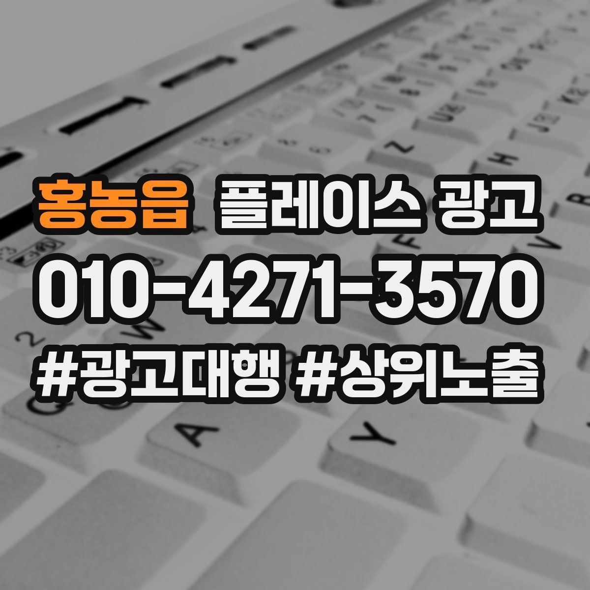 홍농읍 플레이스 광고