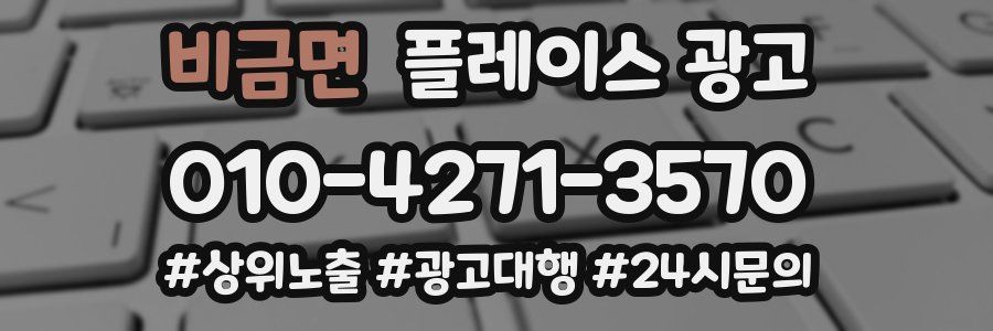 비금면 플레이스 광고