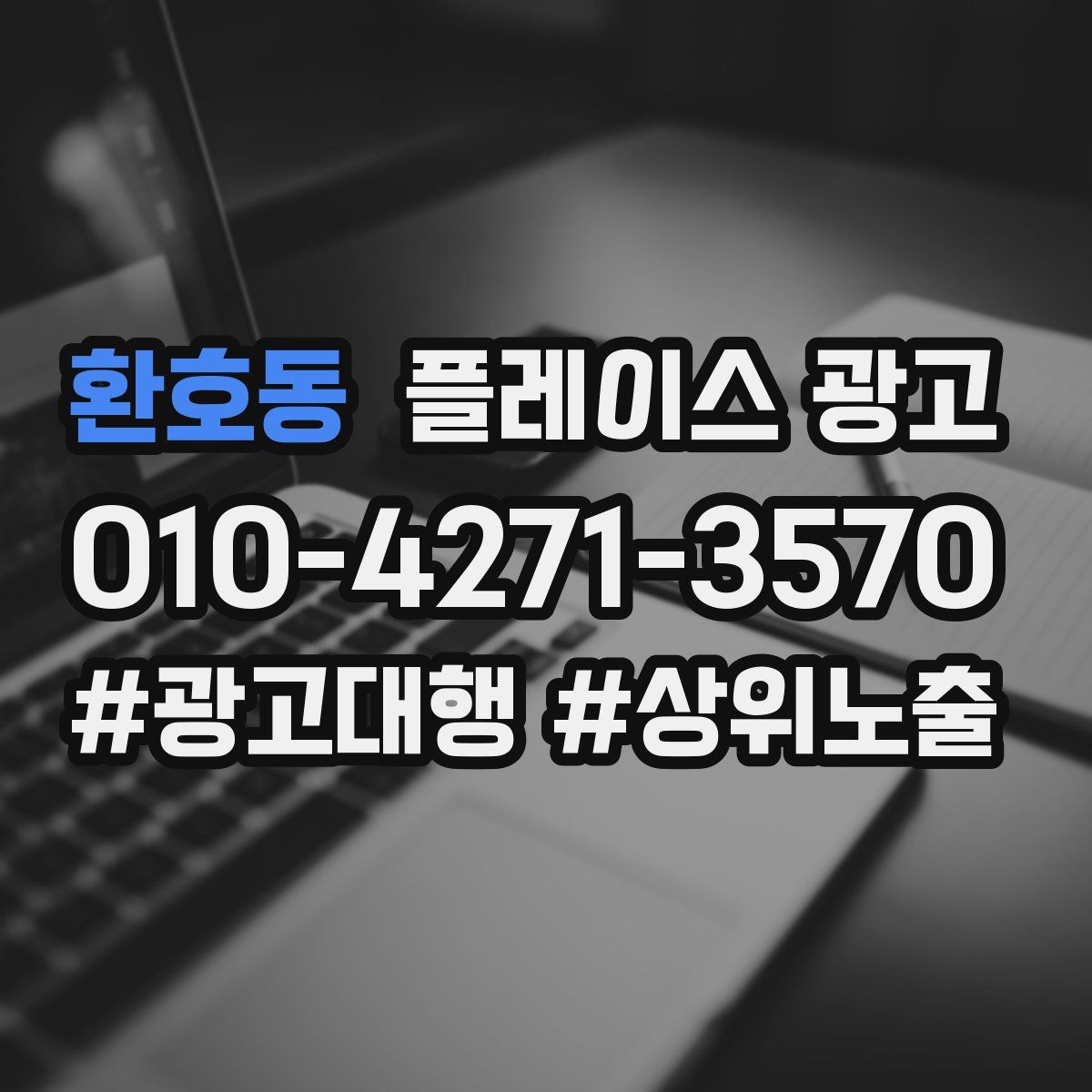 환호동 플레이스 광고