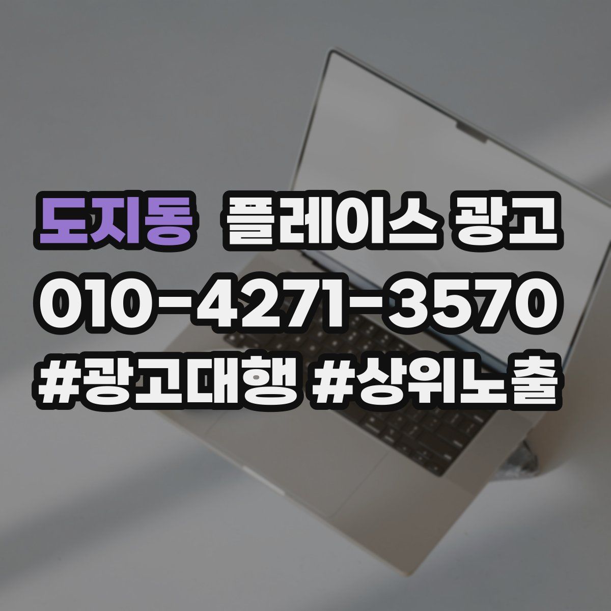 도지동 플레이스 광고