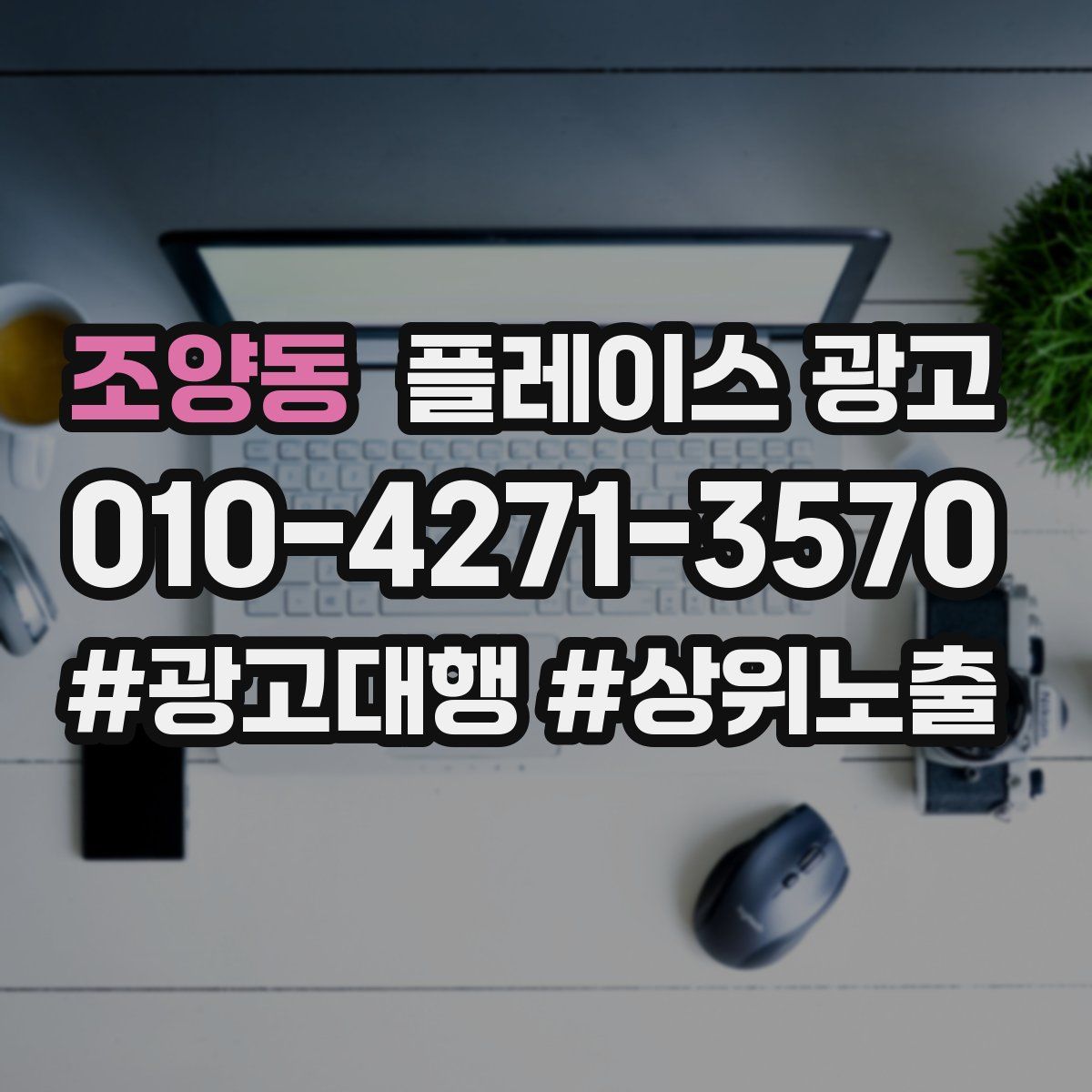 조양동 플레이스 광고