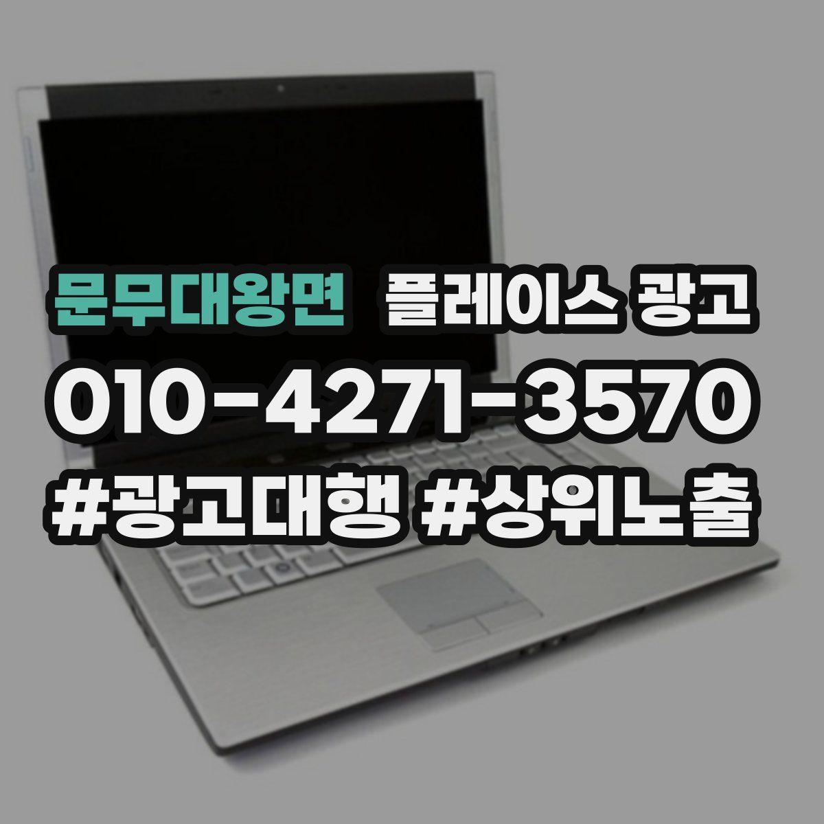 문무대왕면 플레이스 광고