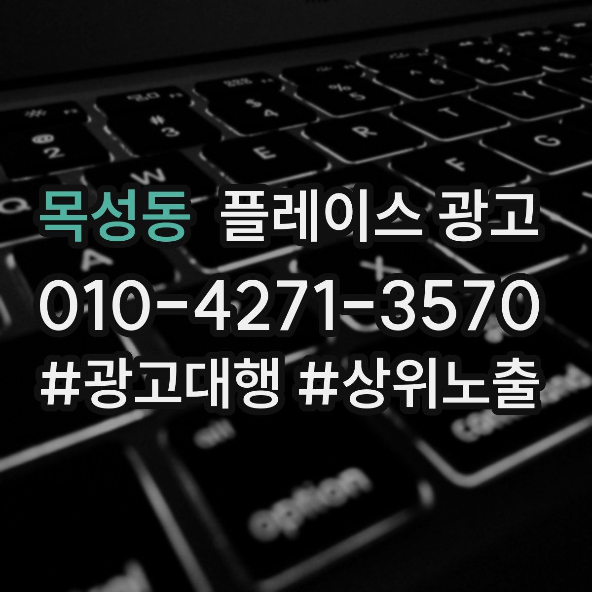 목성동 플레이스 광고
