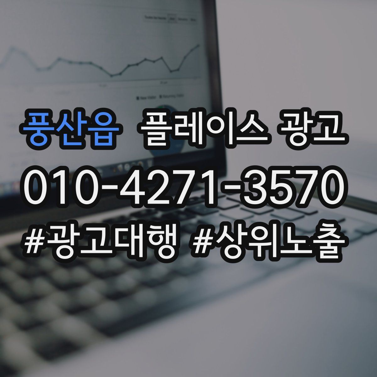 풍산읍 플레이스 광고