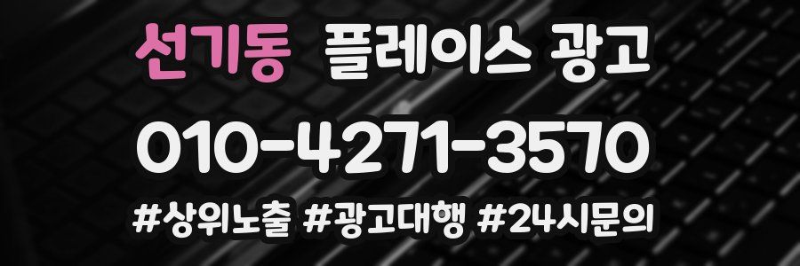선기동 플레이스 광고