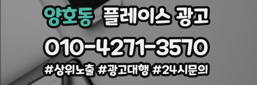 양호동 플레이스 광고