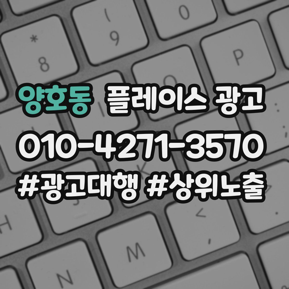 양호동 플레이스 광고