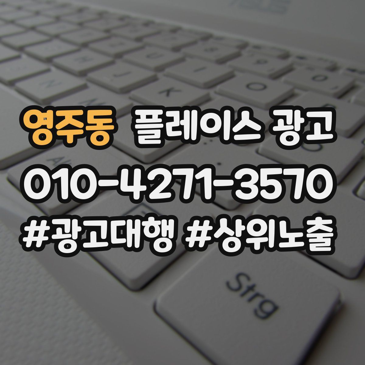 영주동 플레이스 광고