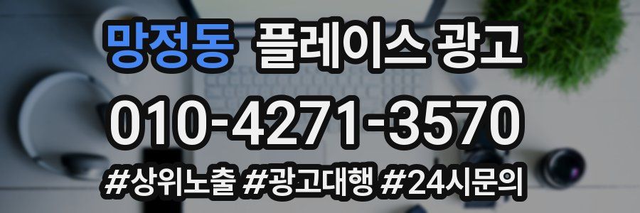 망정동 플레이스 광고