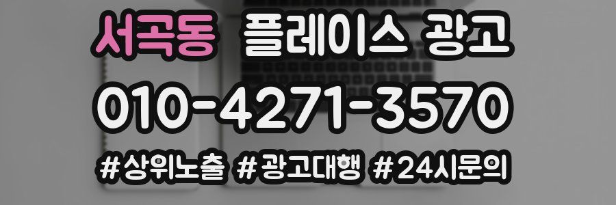 서곡동 플레이스 광고