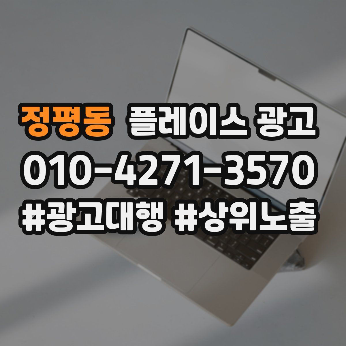 정평동 플레이스 광고