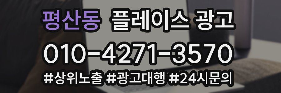 평산동 플레이스 광고