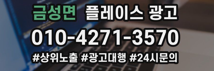 금성면 플레이스 광고