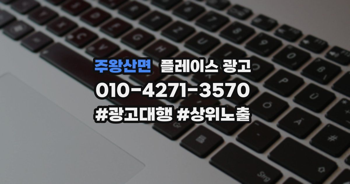 주왕산면 플레이스 광고
