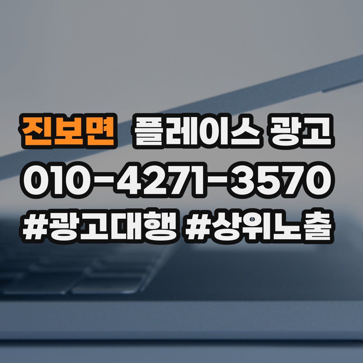 진보면 플레이스 광고