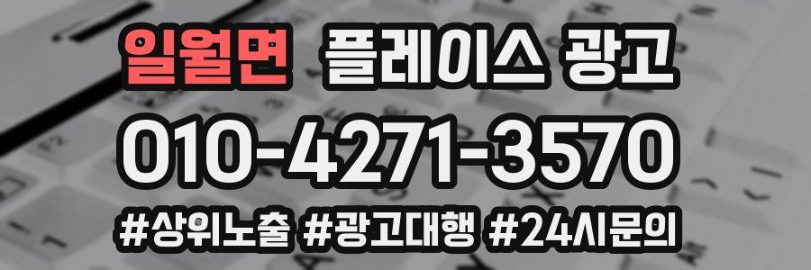 일월면 플레이스 광고