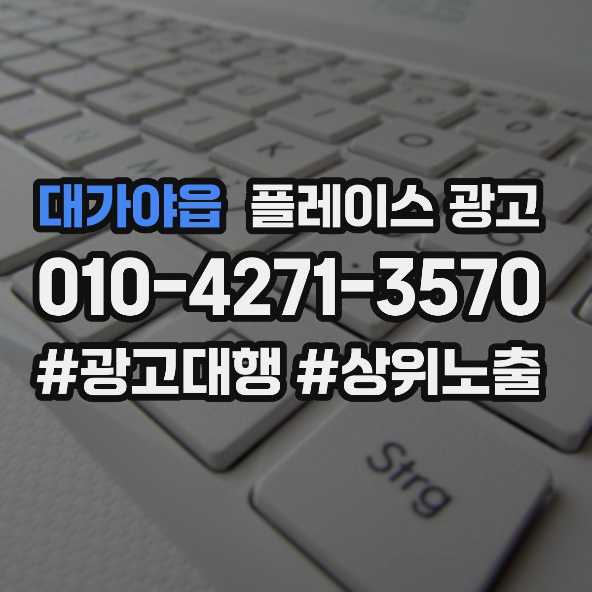대가야읍 플레이스 광고