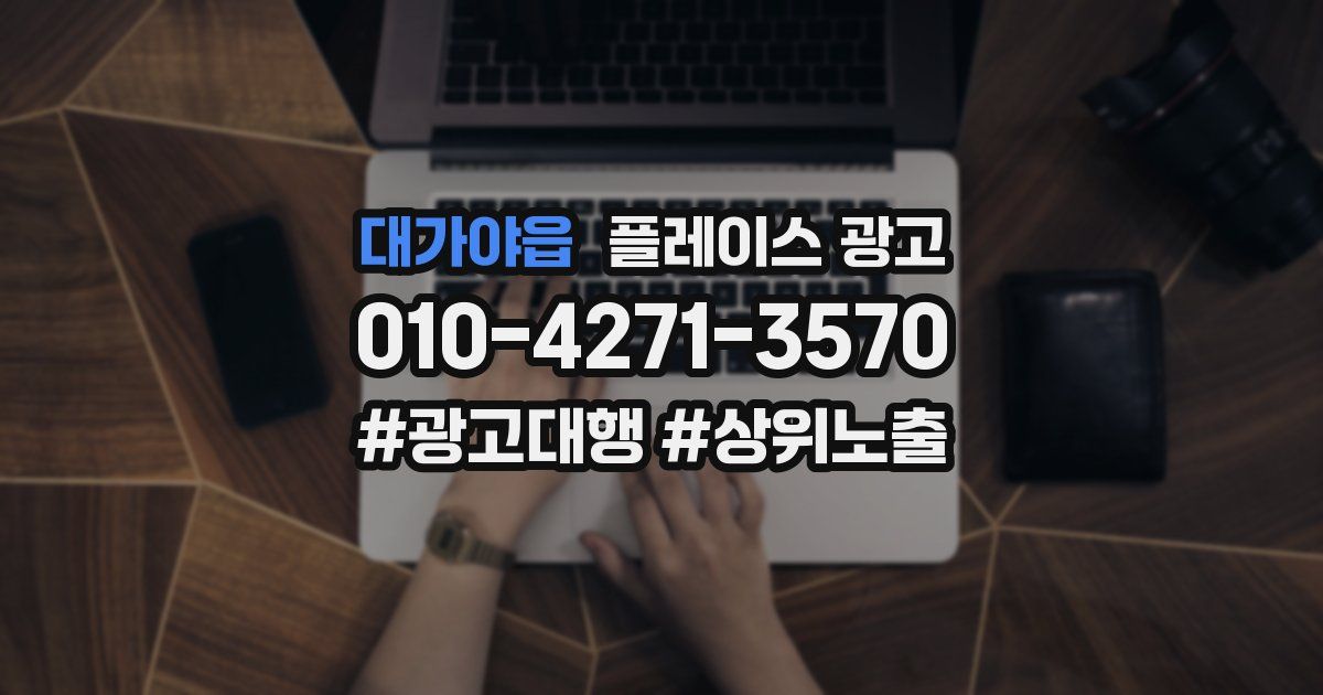 대가야읍 플레이스 광고