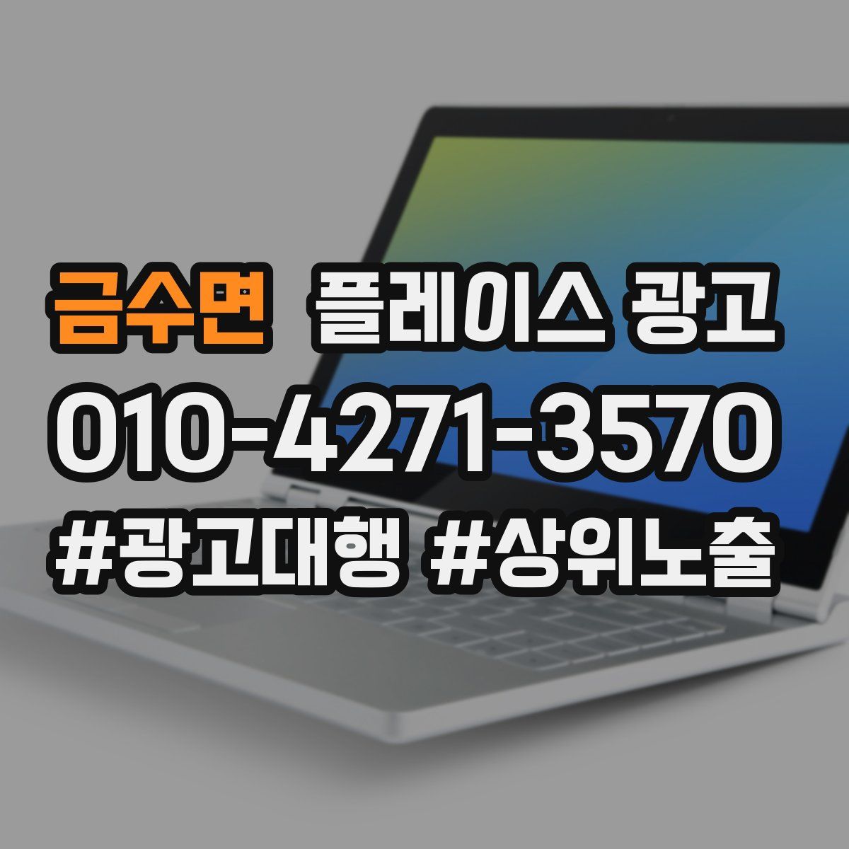 금수면 플레이스 광고