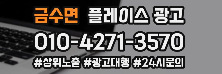 금수면 플레이스 광고