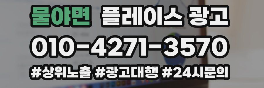 물야면 플레이스 광고