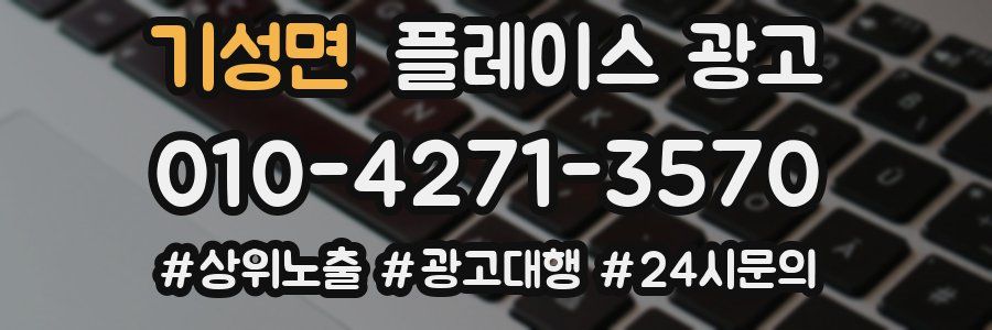 기성면 플레이스 광고
