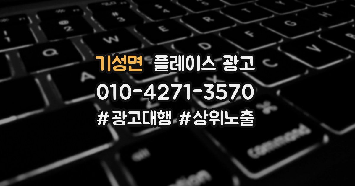 기성면 플레이스 광고