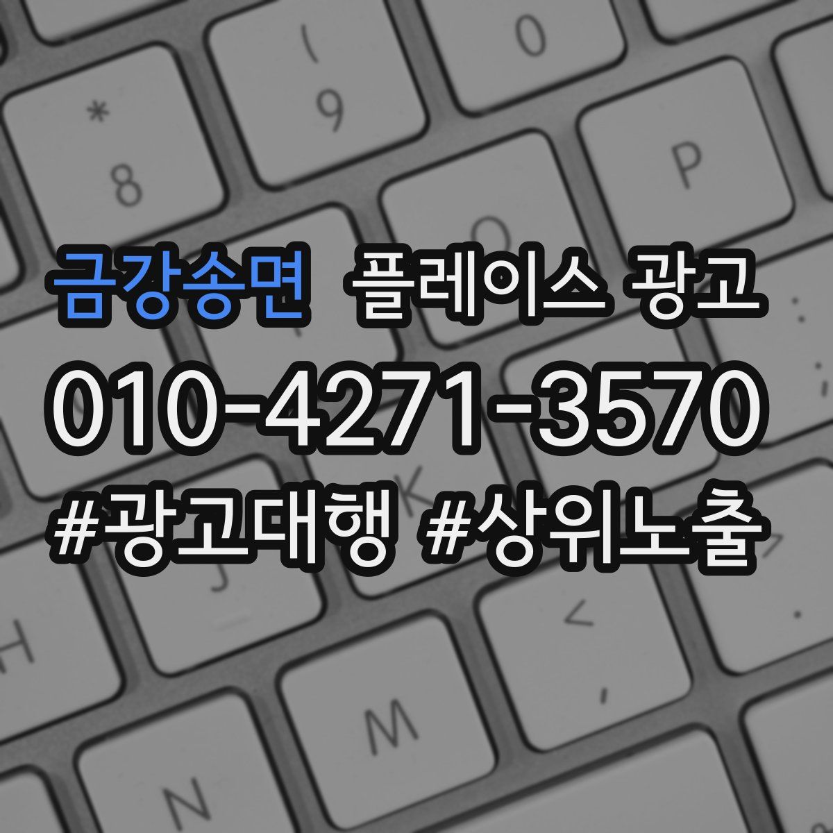 금강송면 플레이스 광고