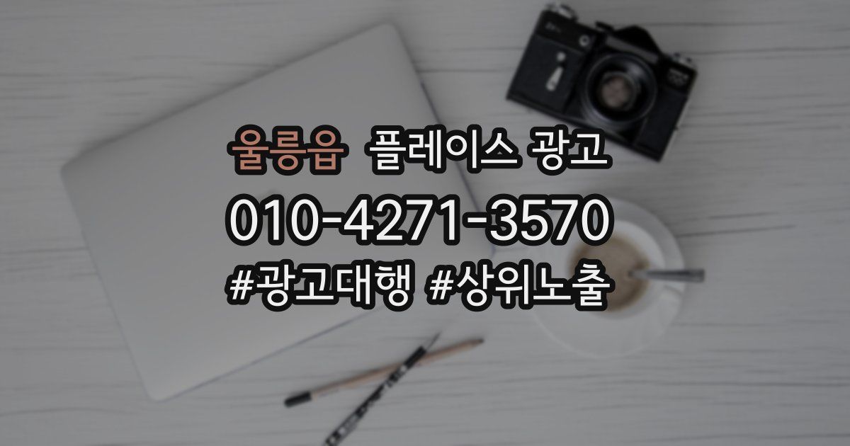 울릉읍 플레이스 광고