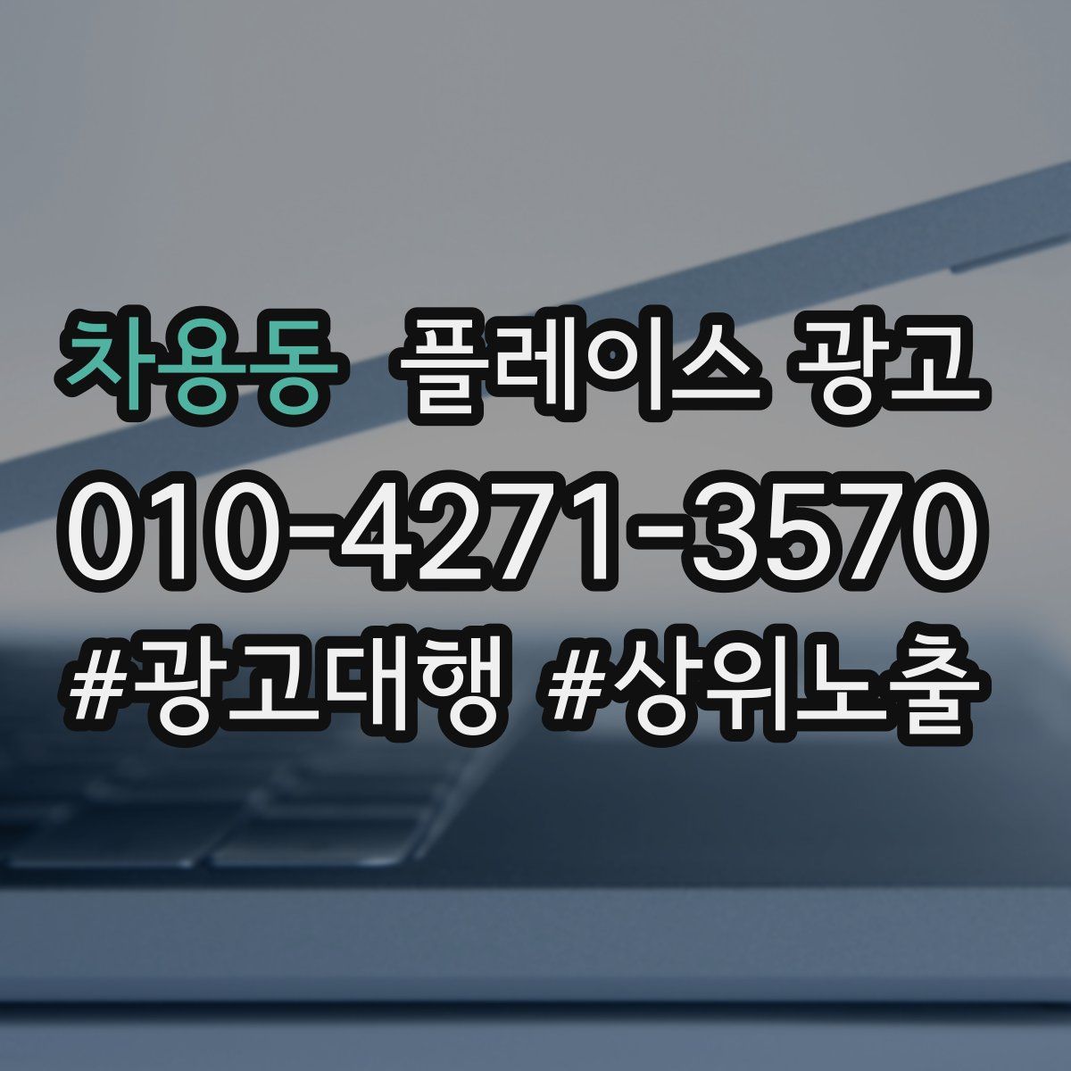 차용동 플레이스 광고