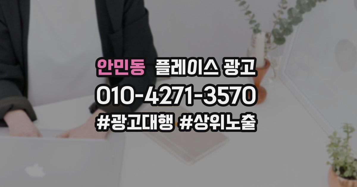 안민동 플레이스 광고