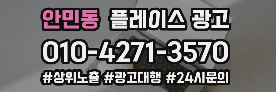 안민동 플레이스 광고