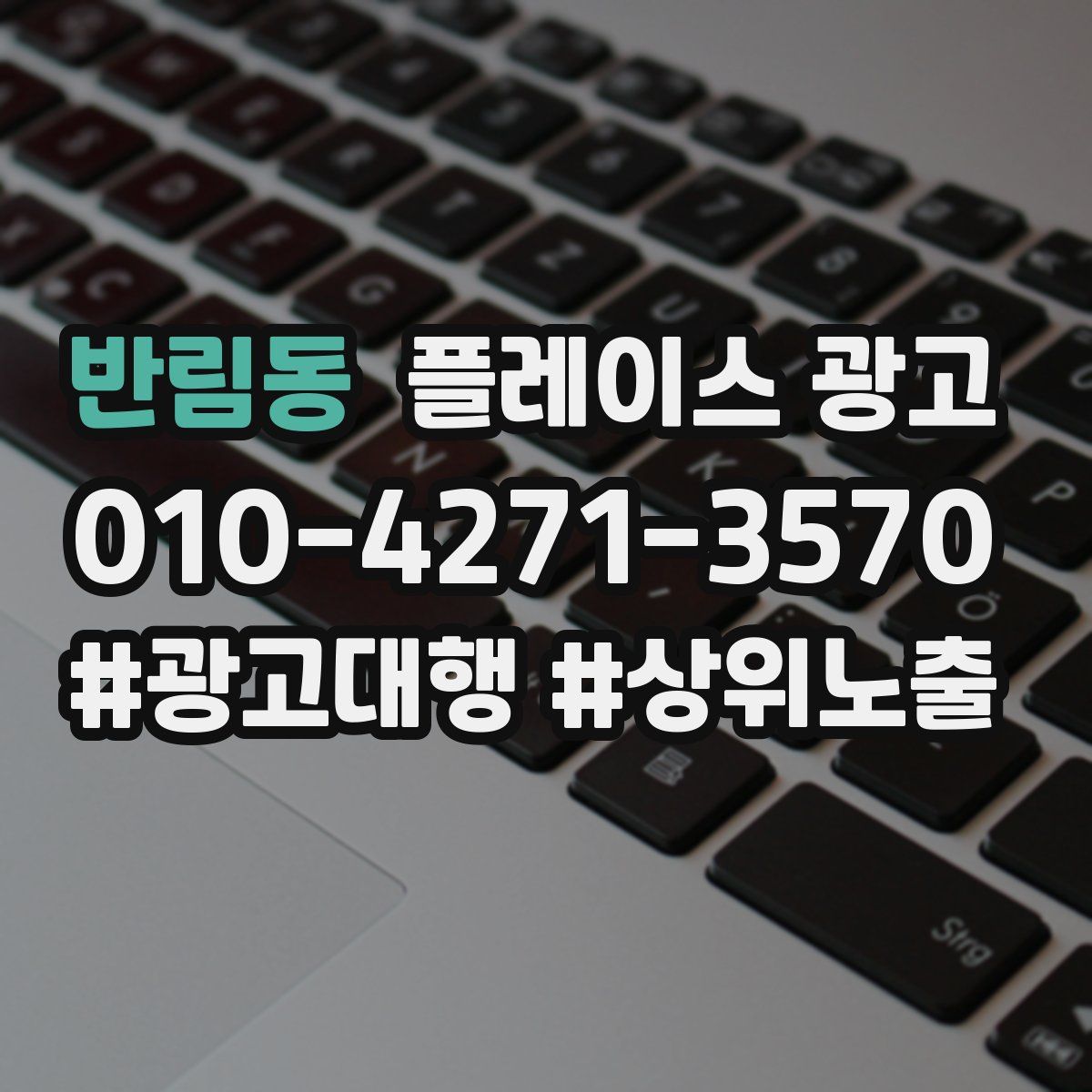 반림동 플레이스 광고