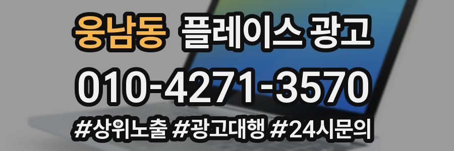 웅남동 플레이스 광고