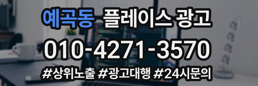 예곡동 플레이스 광고