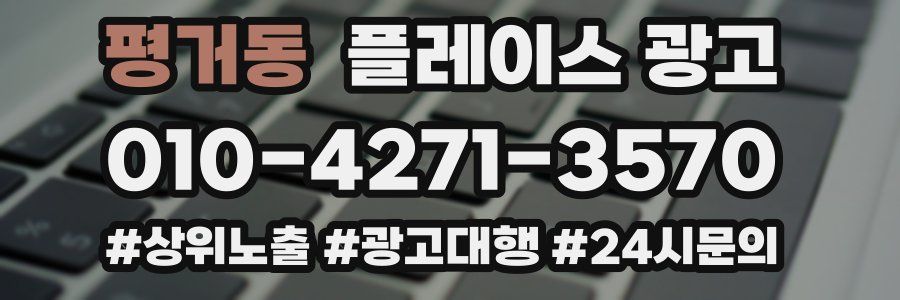 평거동 플레이스 광고