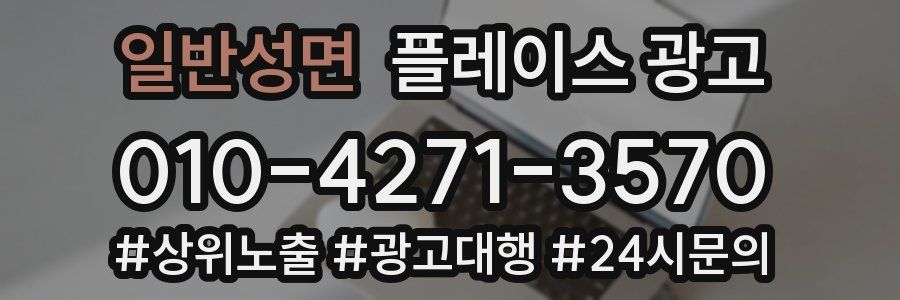 일반성면 플레이스 광고