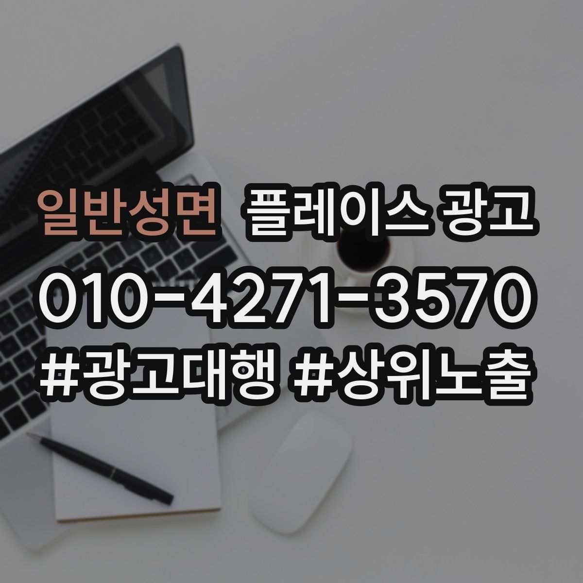 일반성면 플레이스 광고