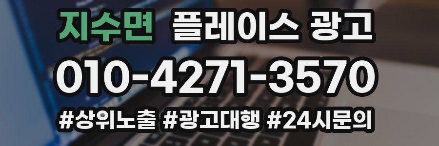 지수면 플레이스 광고